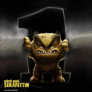 Fotoğraf Kötü Kedi Şerafettin