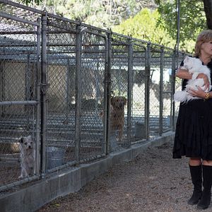 Fotoğraf Catherine Hicks