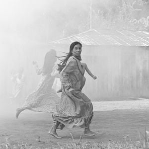 Fotoğraf El abrazo de la serpiente