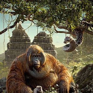 Fotoğraf Orman Çocuğu