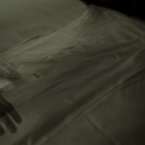 Fotoğraf Köpeğin Kalbi