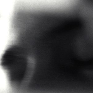 Fotoğraf Köpeğin Kalbi