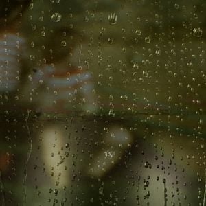 Fotoğraf Köpeğin Kalbi