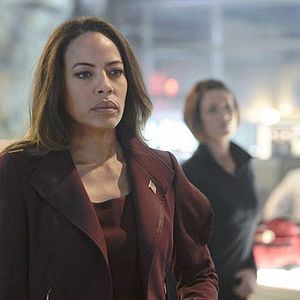 Fotoğraf Tawny Cypress