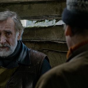 Fotoğraf Mandalinalar