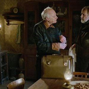 Fotoğraf Mandalinalar