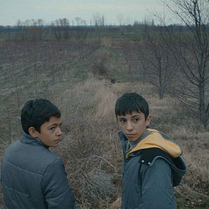 Fotoğraf Mavi Bisiklet