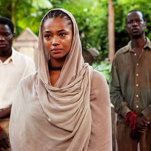 Fotoğraf Palmeras en la nieve