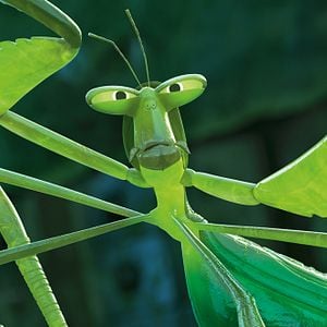 Fotoğraf Kung Fu Panda 3