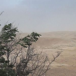 Fotoğraf No Home Movie