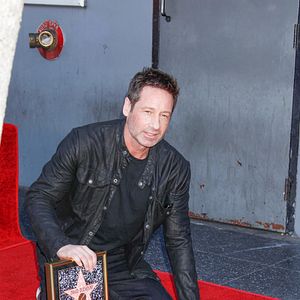 Fotoğraf David Duchovny
