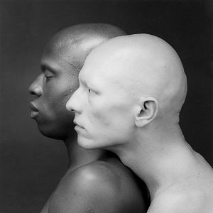 Fotoğraf Mapplethorpe: Fotoğrafa Bak!