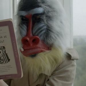 Fotoğraf The Seasons in Quincy: Four Portraits of John Berger