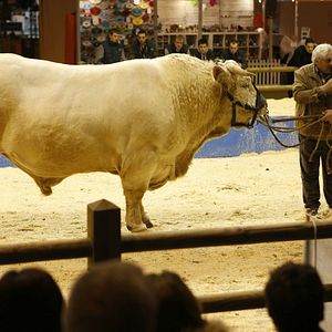 Fotoğraf Gérard Depardieu