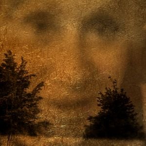 Fotoğraf Köpeğin Kalbi