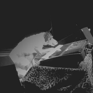 Fotoğraf Köpeğin Kalbi