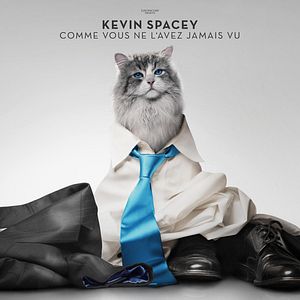 Fotoğraf Dokuz Canlı Bay Tüylü