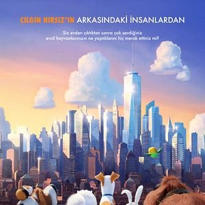 Fotoğraf Evcil Hayvanların Gizli Yaşamı