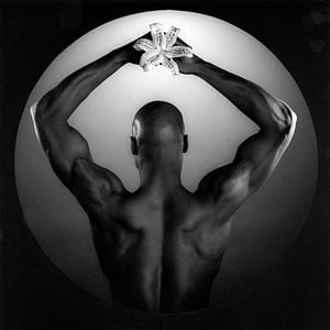 Fotoğraf Mapplethorpe: Fotoğrafa Bak!
