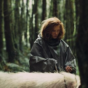 Fotoğraf The Lobster