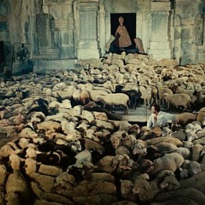 Fotoğraf Narın Rengi