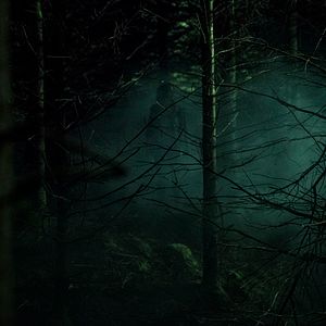 Fotoğraf The Hallow