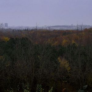 Fotoğraf Le Bois dont les rêves sont faits