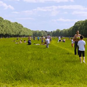 Fotoğraf Le Bois dont les rêves sont faits