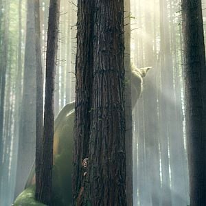 Fotoğraf Pete ve Ejderhası