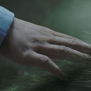 Fotoğraf Pete ve Ejderhası