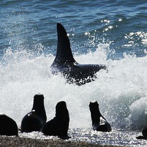Fotoğraf El Faro De Las Orcas
