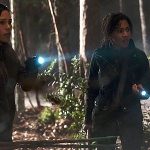 Fotoğraf Nicole Beharie