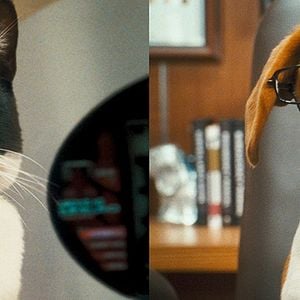 Fotoğraf Hayat Şarkısı