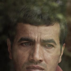 Fotoğraf Son Kuşlar