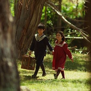 Fotoğraf Yitik Kuşlar