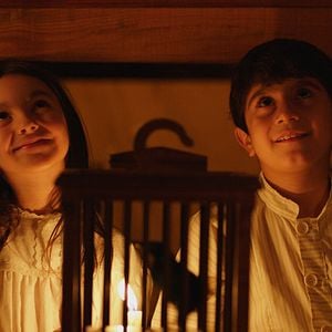 Fotoğraf Yitik Kuşlar