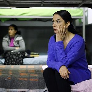 Fotoğraf Kırgın Çiçekler