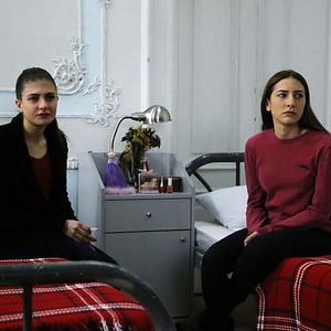 Fotoğraf Kırgın Çiçekler