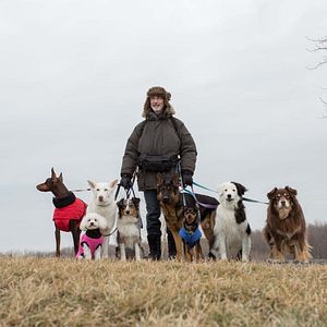 Fotoğraf Thierry Lhermitte