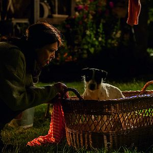 Fotoğraf Iris Berben