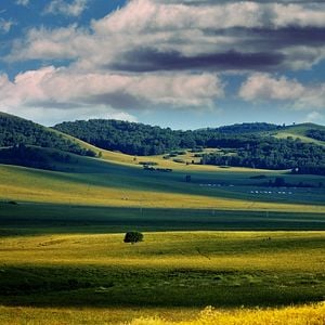 Fotoğraf Gone with the Bullets