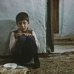 Fotoğraf Arkadaşımın Evi Nerede?