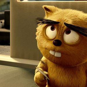 Fotoğraf Kötü Kedi Şerafettin