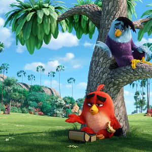Fotoğraf The Angry Birds Movie