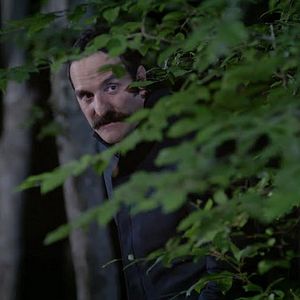 Fotoğraf Kertenkele