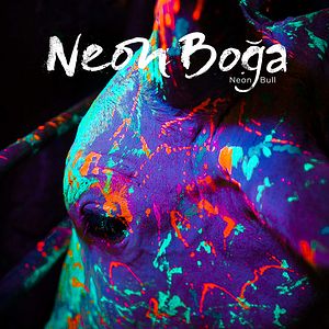 Fotoğraf Neon Boğa