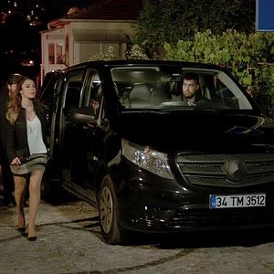 Fotoğraf Kertenkele