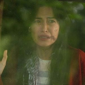 Fotoğraf Hayat Şarkısı