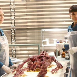 Fotoğraf Emily Deschanel