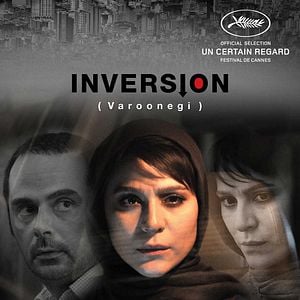 Fotoğraf Nilüfer’in Kararı